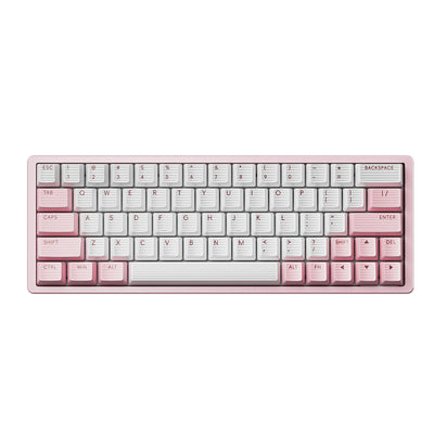 Scyrox Xpunk Esports Magnetic Keyboard